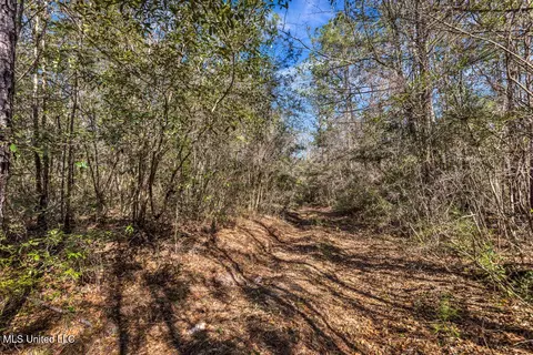 Aaron Scott Road, Lucedale, MS 39452 photo 18