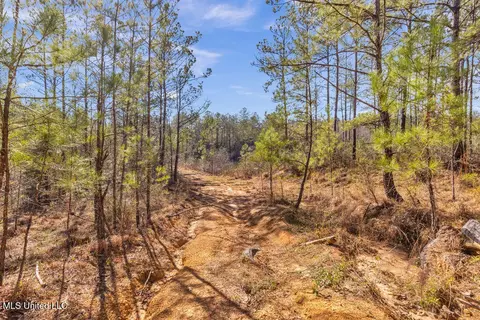 Aaron Scott Road, Lucedale, MS 39452 photo 13