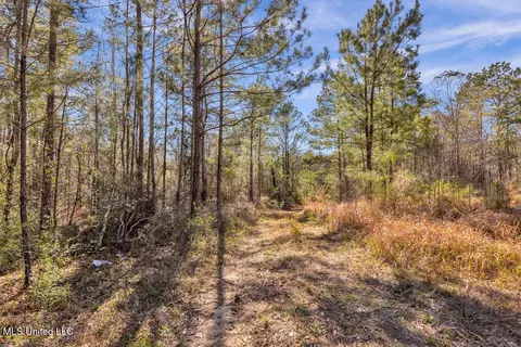Aaron Scott Road, Lucedale, MS 39452 photo 12