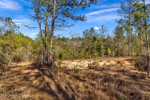 Aaron Scott Road, Lucedale, MS 39452 photo 22