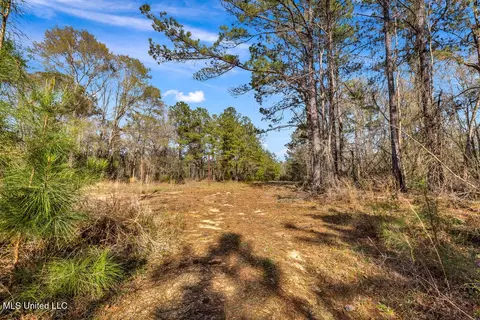 Aaron Scott Road, Lucedale, MS 39452 photo 25