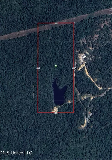 Aaron Scott Road, Lucedale, MS 39452 photo 28