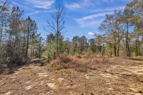 Aaron Scott Road, Lucedale, MS 39452 photo 11