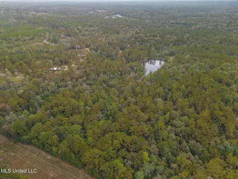 Aaron Scott Road, Lucedale, MS 39452