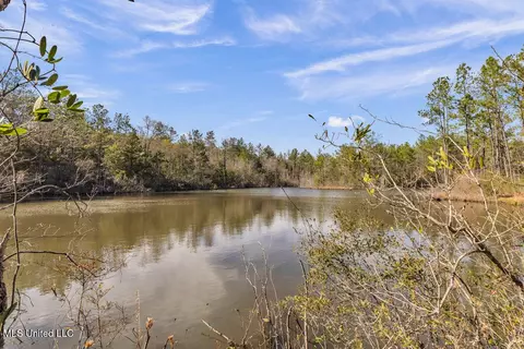 Aaron Scott Road, Lucedale, MS 39452 photo 15