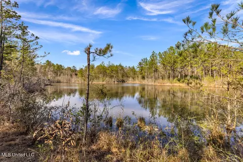 Aaron Scott Road, Lucedale, MS 39452 photo 23