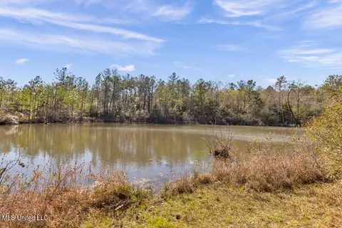 Aaron Scott Road, Lucedale, MS 39452 photo 14