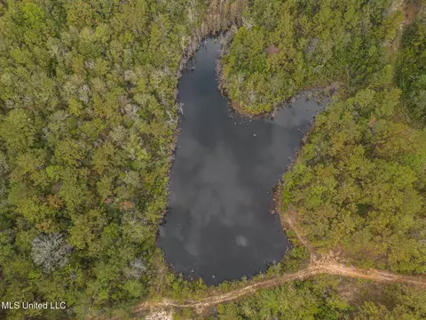 Aaron Scott Road, Lucedale, MS 39452 photo 5