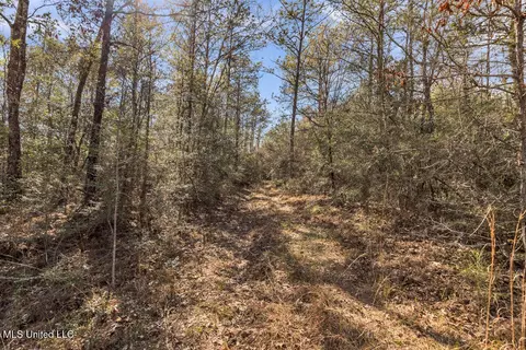 Aaron Scott Road, Lucedale, MS 39452 photo 16