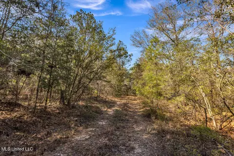 Aaron Scott Road, Lucedale, MS 39452 photo 20