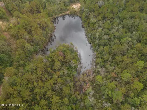 Aaron Scott Road, Lucedale, MS 39452 photo 3