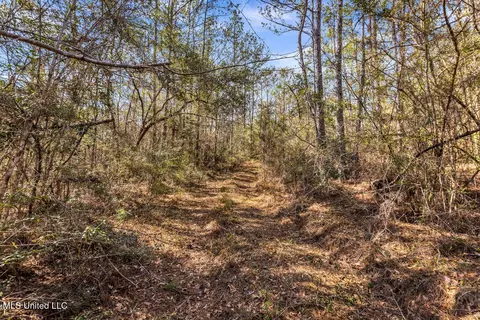 Aaron Scott Road, Lucedale, MS 39452 photo 17