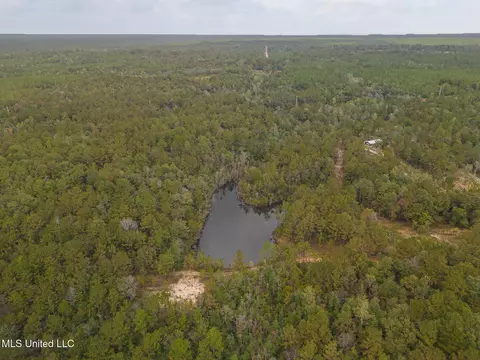 Aaron Scott Road, Lucedale, MS 39452 photo 7