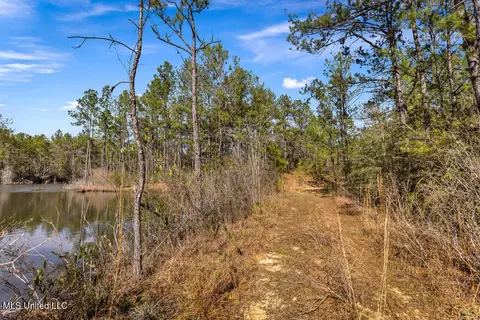 Aaron Scott Road, Lucedale, MS 39452 photo 24