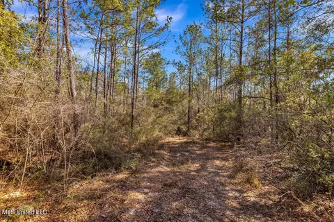 Aaron Scott Road, Lucedale, MS 39452 photo 19
