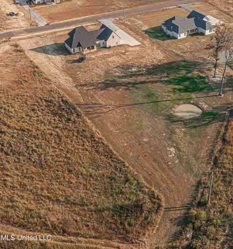 View/Area - 513 Stump Ridge Rd, Brandon, MS 39047 photo 5 of 6
