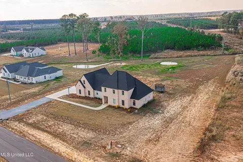 View/Area - 513 Stump Ridge Rd, Brandon, MS 39047 photo 6 of 6