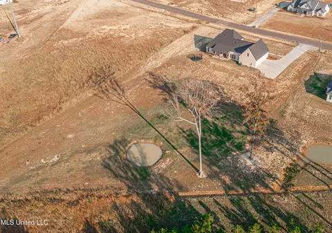 View/Area - 513 Stump Ridge Rd, Brandon, MS 39047 photo 4 of 6