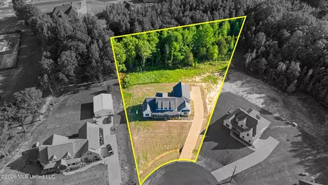 View/Area - 9069 Bennett Trl, Hernando, MS 38632 photo 3 of 3