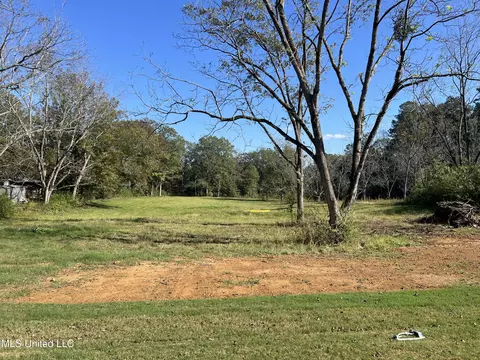112 Trickhambridge Rd, Brandon, MS 39042 photo 35