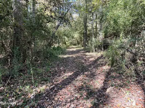 2089 Alford Bridge Rd, Summit, MS 39666 photo 17