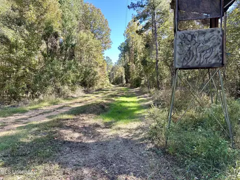 2089 Alford Bridge Rd, Summit, MS 39666 photo 21