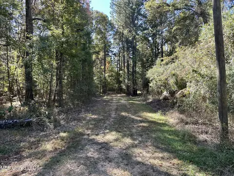 2089 Alford Bridge Rd, Summit, MS 39666 photo 5
