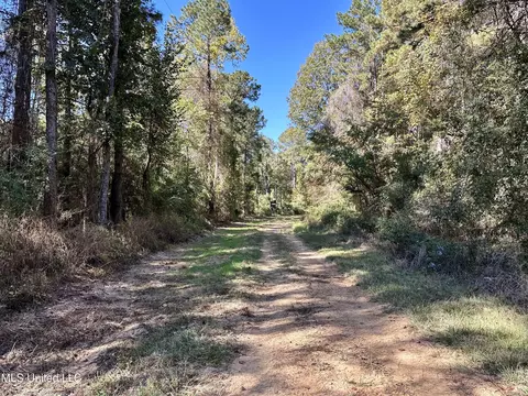 2089 Alford Bridge Rd, Summit, MS 39666 photo 23