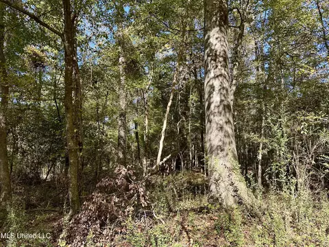 2089 Alford Bridge Rd, Summit, MS 39666 photo 15