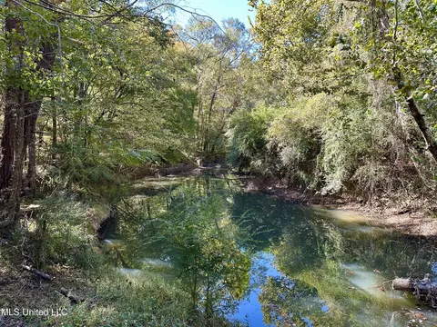 2089 Alford Bridge Rd, Summit, MS 39666 photo 6