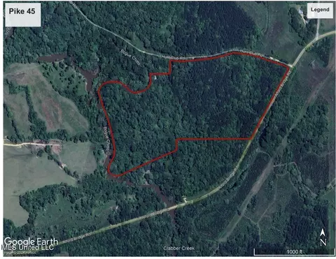 2089 Alford Bridge Rd, Summit, MS 39666 photo 24