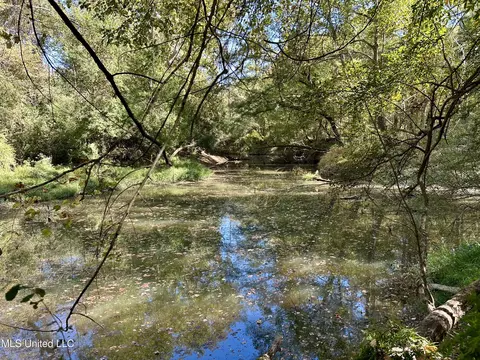 2089 Alford Bridge Rd, Summit, MS 39666 photo 7