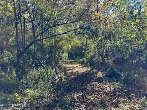 2089 Alford Bridge Rd, Summit, MS 39666 photo 16