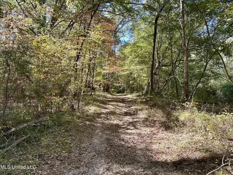 2089 Alford Bridge Rd, Summit, MS 39666 photo 9