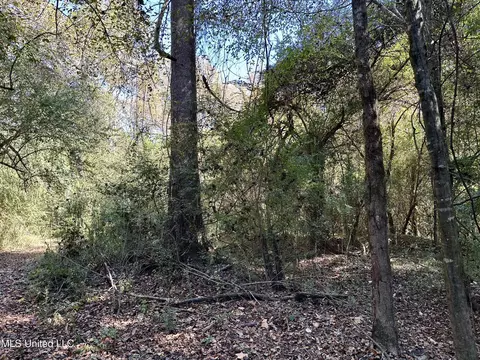 2089 Alford Bridge Rd, Summit, MS 39666 photo 19