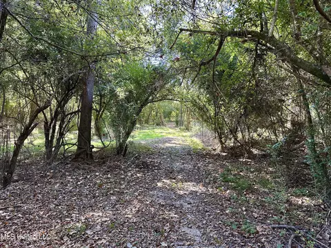 2089 Alford Bridge Rd, Summit, MS 39666 photo 18