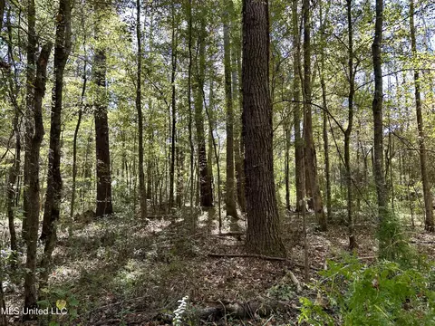 2089 Alford Bridge Rd, Summit, MS 39666 photo 14