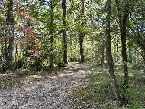 2089 Alford Bridge Rd, Summit, MS 39666 photo 3