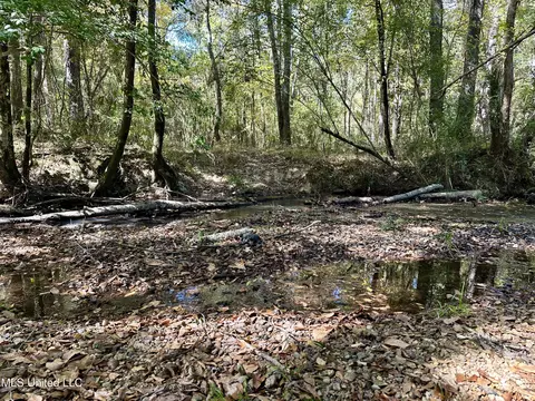 2089 Alford Bridge Rd, Summit, MS 39666 photo 22