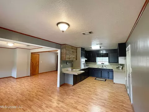 4142 Mars Hill Rd, Carthage, MS 39051 photo 13