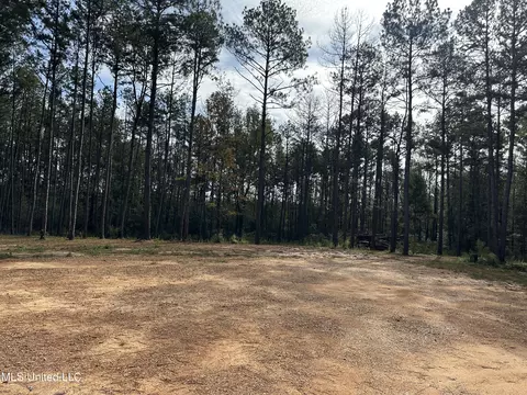 192 Lucas-warner Rd, Prentiss, MS 39474