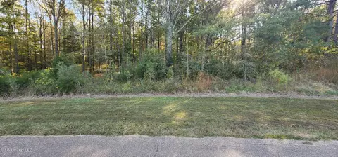 0 View Pointe Dr, Clinton, MS 39056 photo 4