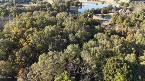 0 View Pointe Dr, Clinton, MS 39056 photo 18