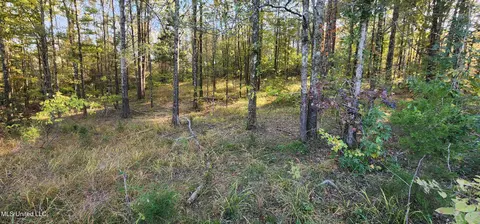 0 View Pointe Dr, Clinton, MS 39056 photo 5