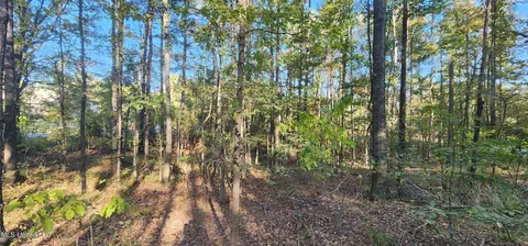 0 View Pointe Dr, Clinton, MS 39056 photo 13