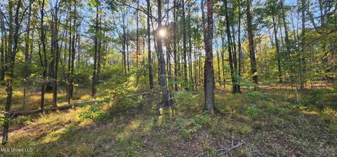 0 View Pointe Dr, Clinton, MS 39056 photo 7