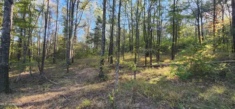 0 View Pointe Dr, Clinton, MS 39056 photo 8