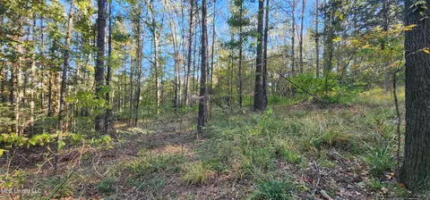 0 View Pointe Dr, Clinton, MS 39056 photo 11