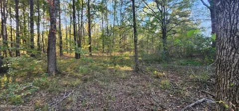 0 View Pointe Dr, Clinton, MS 39056 photo 6