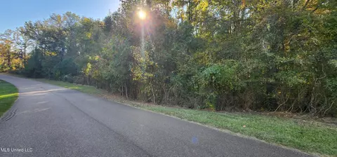 0 View Pointe Dr, Clinton, MS 39056 photo 17